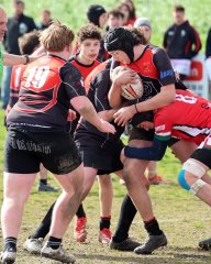 025-bj8a7498.jpg - JPEG - 1.4 Mo - 1476×1847 px