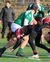 055-img_9783.jpg - JPEG - 400.7 ko - 1500×1878 px