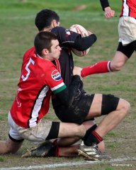 082-bj8a7599.jpg - JPEG - 950.1 ko - 1288×1611 px