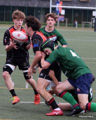 088-088-bj8a1339.jpg - JPEG - 384.2 ko - 1500×1875 px