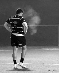 112-bj8a4466.jpg - JPEG - 520.1 ko - 2000×2503 px