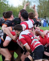 116-bj8a9512.jpg - JPEG - 591 ko - 2000×2503 px