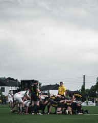 dsc00181.jpg - JPEG - 560.6 ko - 2000×2500 px