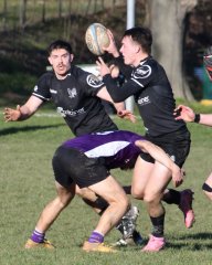 dsc_0168-8.jpg - JPEG - 243.6 ko - 1505×1888 px