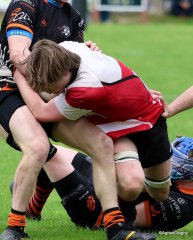 037-bj8a9325.jpg - JPEG - 528.5 ko - 2000×2499 px