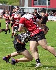 058-bj8a9363.jpg - JPEG - 751 ko - 2000×2497 px