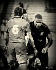 102-bj8a6278.jpg - JPEG - 537.9 ko - 2000×2497 px