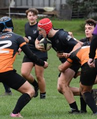 dsc_4542-4.jpg - JPEG - 356 ko - 1500×1849 px