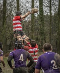 04022024-_nz87877-avec_accentuation-bruit.jpg - JPEG - 725.4 ko - 833×1024 px