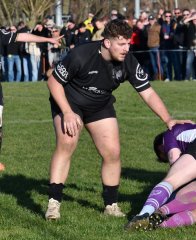 dsc_0222-3.jpg - JPEG - 552.1 ko - 2286×2812 px