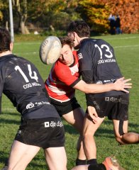 dsc_4145-3.jpg - JPEG - 933 ko - 2000×1325 px