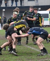 dsc_1940-6.jpg - JPEG - 464.6 ko - 1500×1834 px