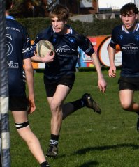 dsc_1212.jpg - JPEG - 349.3 ko - 1500×1813 px