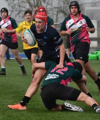 dsc_0762-7.jpg - JPEG - 347.7 ko - 1500×1807 px