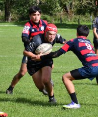 dsc_3070-4.jpg - JPEG - 499.2 ko - 2000×1325 px