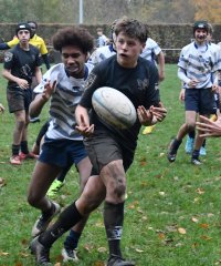 dsc_4306-3.jpg - JPEG - 702.9 ko - 2000×2403 px