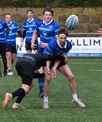 dsc_1476-4.jpg - JPEG - 605 ko - 2000×2393 px