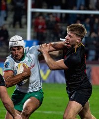 photo_1_-1235.jpg - JPEG - 1.9 Mo - 2000×2399 px