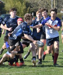 dsc_1129-2.jpg - JPEG - 494.2 ko - 1500×1785 px