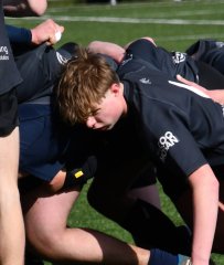 dsc_1411-2.jpg - JPEG - 348.5 ko - 2000×2370 px