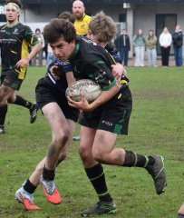 dsc_2028-4.jpg - JPEG - 388.7 ko - 1500×1780 px