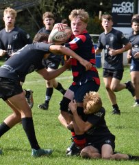 dsc_3159-5.jpg - JPEG - 422.9 ko - 1500×1780 px