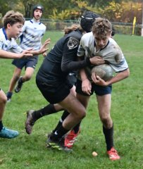 dsc_4250.jpg - JPEG - 580.9 ko - 2000×2365 px