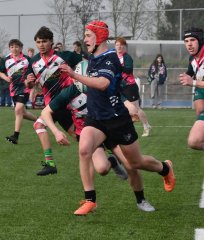 dsc_0807-5.jpg - JPEG - 406.9 ko - 1500×1769 px