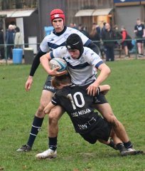 dsc_4405-7.jpg - JPEG - 597.1 ko - 2000×2353 px