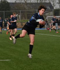 dsc_0709-5.jpg - JPEG - 391.9 ko - 1500×1761 px