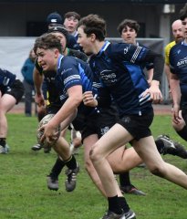 dsc_1911-2.jpg - JPEG - 338.3 ko - 1500×1761 px