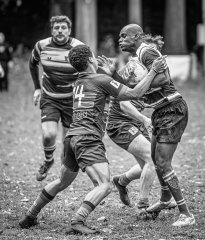 z63_4227.jpg - JPEG - 327.5 ko - 1024×1204 px