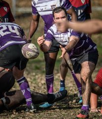 _nz86813.jpg - JPEG - 297.7 ko - 1024×1194 px