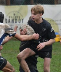 dsc_4361.jpg - JPEG - 408.5 ko - 2000×2337 px