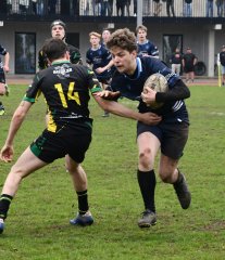 dsc_1904-3.jpg - JPEG - 445.2 ko - 1500×1744 px