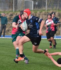 dsc_0805-4.jpg - JPEG - 361.2 ko - 1500×1737 px