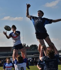 dsc_1172-2.jpg - JPEG - 269.3 ko - 1500×1738 px