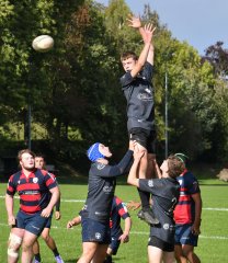 dsc_3203.jpg - JPEG - 524.6 ko - 2000×1325 px