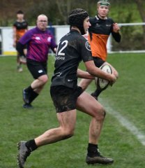 dsc_4626-2.jpg - JPEG - 329.1 ko - 1500×1733 px