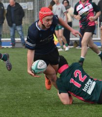 dsc_0763-4.jpg - JPEG - 339.4 ko - 1500×1726 px