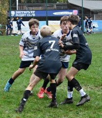 dsc_4248-4.jpg - JPEG - 748.6 ko - 2000×2306 px