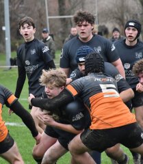 dsc_4580-2.jpg - JPEG - 339.6 ko - 1500×1725 px