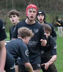 dsc_4634-2.jpg - JPEG - 348.7 ko - 1500×1726 px