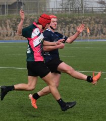 dsc_0775-5.jpg - JPEG - 370.7 ko - 1500×1721 px