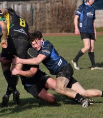 dsc_4844.jpg - JPEG - 249.9 ko - 1991×2278 px