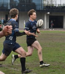 dsc_2085.jpg - JPEG - 353.8 ko - 1500×1708 px