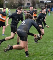 dsc_4565-4.jpg - JPEG - 431.7 ko - 1500×1714 px