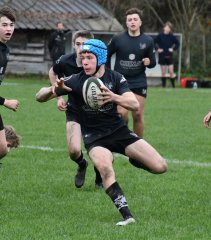 dsc_4600-4.jpg - JPEG - 369.1 ko - 1500×1709 px