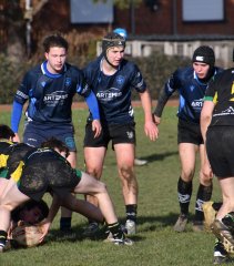 dsc_4843-5.jpg - JPEG - 401.2 ko - 2501×2852 px