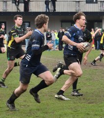 dsc_2084-2.jpg - JPEG - 426.6 ko - 1500×1705 px